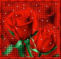 محمد الخطيب