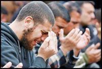 Ahmed Mahmoud