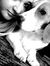 Ioana M...