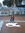 Fanny (Fanny_Liz) | 1 comments