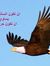 Abo Malek