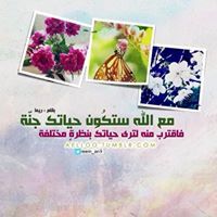 عفاف السباخي