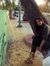 Jumana ...