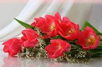 Mony Hwanah