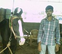 Srini Vasan