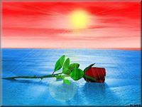 الملاذ الأخير