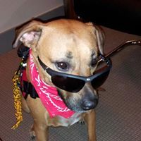 Stephanie Ohmes-fiebrink