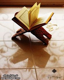 أبو عبدالرحمن