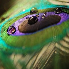 فاطمة زين العابدين