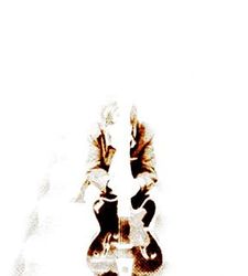 Shubhro Bhattacharjee