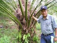 Fuad Muhammad