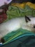 Deshwi