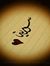 Hasoon ...