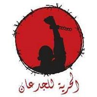 محمد عادل