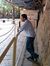 Saurabh...