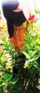 النفس الأبية