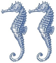 2tetheredhorses
