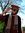 Bilal Shah