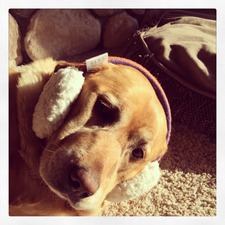 Megan
