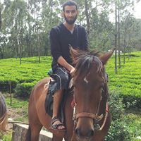 إبراهيم الجرداني