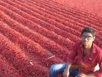 Vishnu Reddy