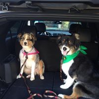 Elizabeth Lindquist-moore