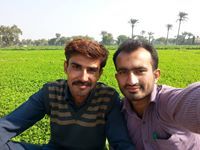 Talha Bashir