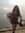 Priya T...