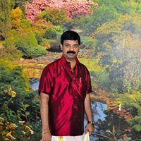 Sunmesh Sathyan
