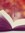 bookbetty