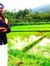 Akhil A...