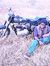 Sailesh...
