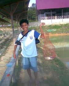 Ade Amoeba