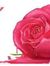 Soofia ...