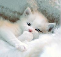 Марияна Медичи