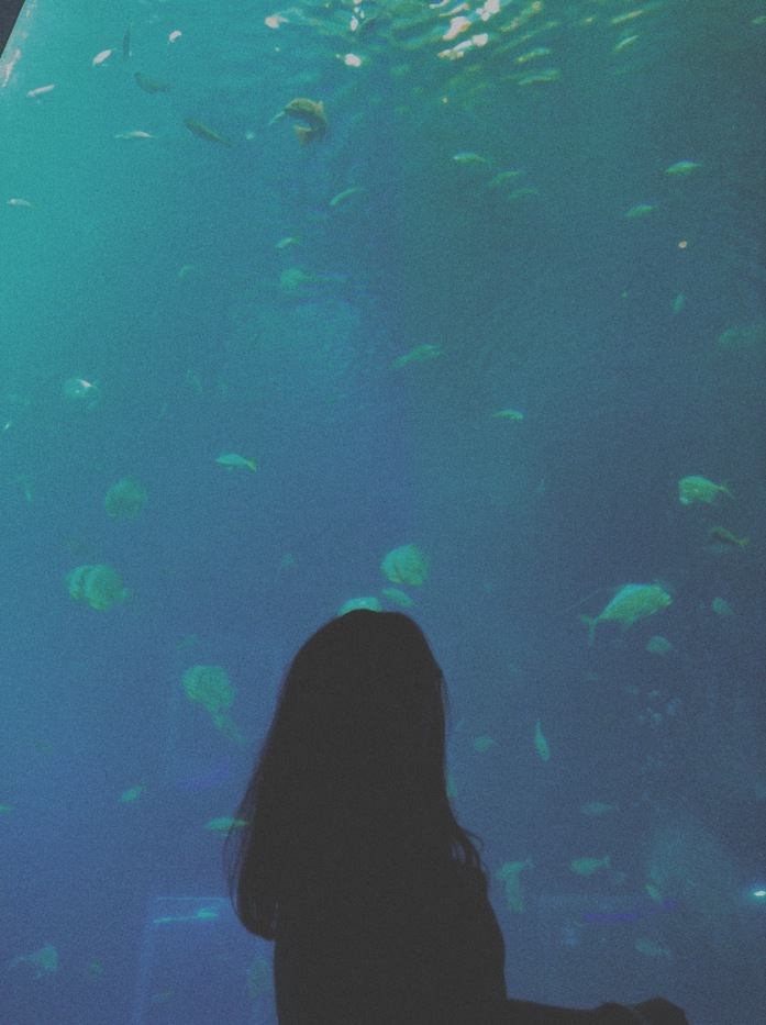 Goodreads profile picture for @distance