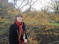 Helga Hoffmann-orton