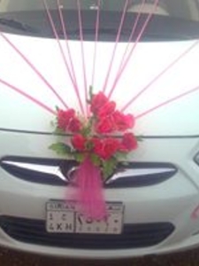 ابوبكر بروس