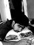Paras Lps