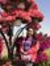 Rose Ann