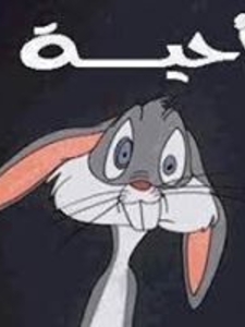 Assem Alaa