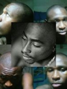 Stevie O