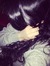Shubhi