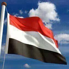 محمد البدوي