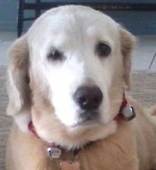 Susan Sprouse withrow