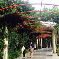 Kekhriesinuo Keditsu