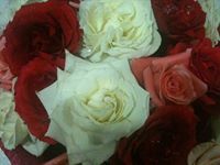 الحياة وفاء