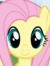 Fluttershy