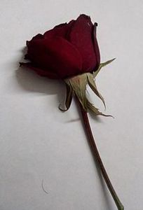 Muhammad Hasnain Baltistani