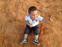 محارب الصحراء